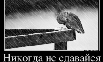 �� ��������� "������� ������"