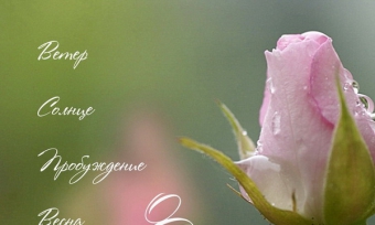 ����������� � �ͨ� 8 �����!!