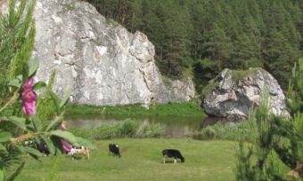 �������� ���������� �������� �����! ���� � ������ ��������� ������