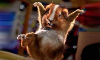 ������������ ����!